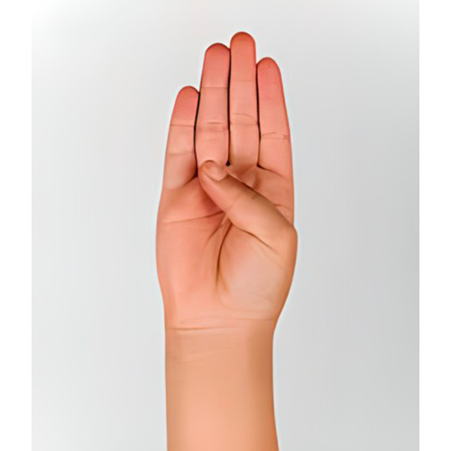 Los dedos índice, medio, anular y meñique se
                estiran bien unidos y el pulgar se dobla hacia
                la palma, la cual mira al frente.