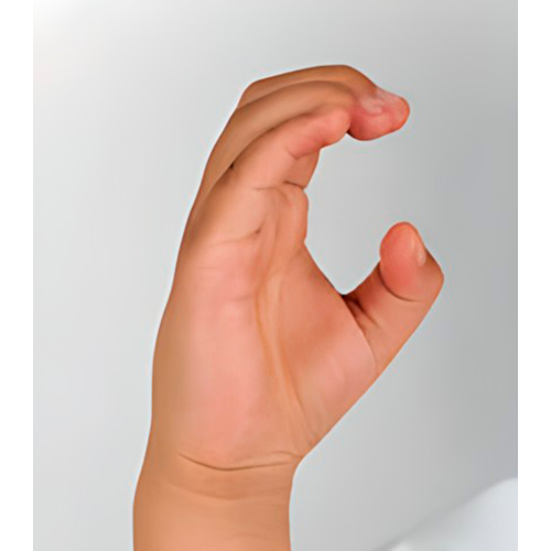 Los dedos índice, medio, anular y meñique se
                mantienen bien unidos y en posición cóncava;
                el pulgar también se pone en esa posición. La
                palma mira a un lado.