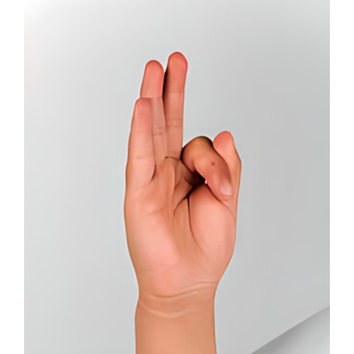 Con la mano abierta y los dedos bien unidos,
                se dobla el índice hasta que su parte lateral
                toque la yema del pulgar. La palma mira a un
                lado.