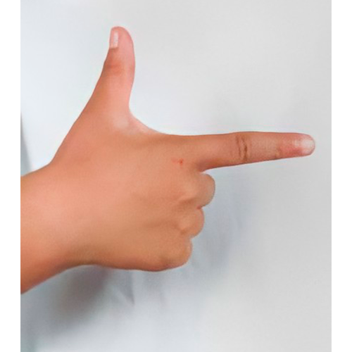 Se cierra la mano y los dedos índice y pulgar
                se estiran. La palma mira hacia usted.