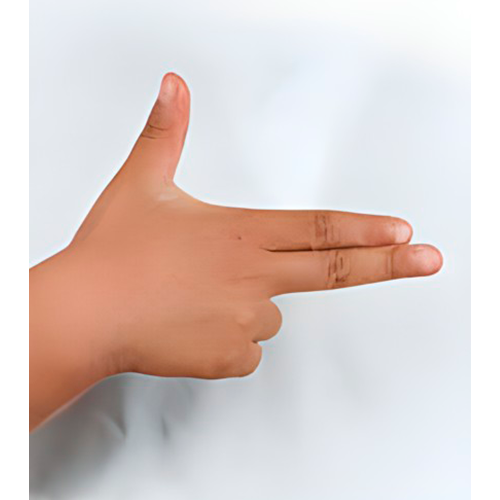 Con la mano cerrada y los dedos índice y
                medio bien estirados y unidos, se extiende el
                dedo pulgar señalando hacia arriba. La palma
                mira hacia usted.