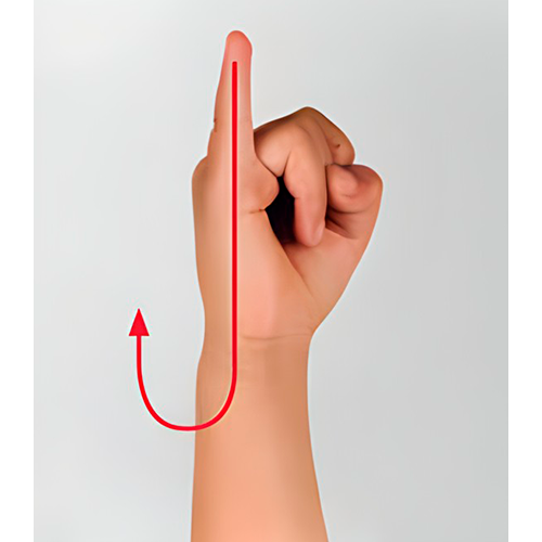 Con la mano cerrada, el dedo meñique bien
                      estirado señalando hacia arriba y la palma a
                      un lado dibuja una j en el aire.