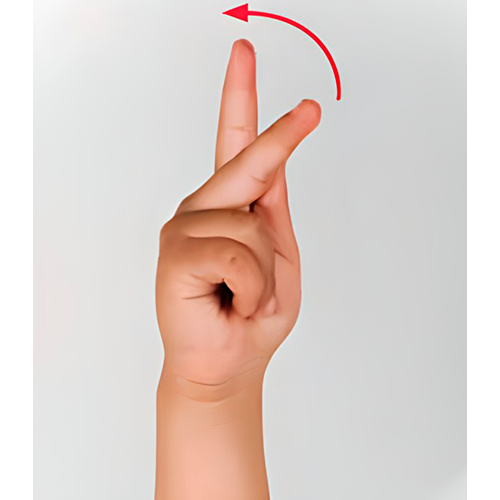 Se cierra la mano con los dedos índice, medio
                      y pulgar estirados. La yema del pulgar se
                      pone entre el índice y el medio. Se mueve la
                      muñeca hacia arriba.