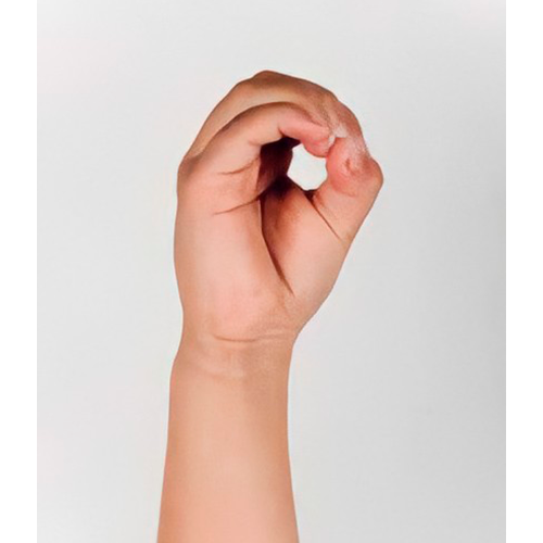 Con la mano se forma una letra o. Todos los
                dedos se tocan por las puntas.