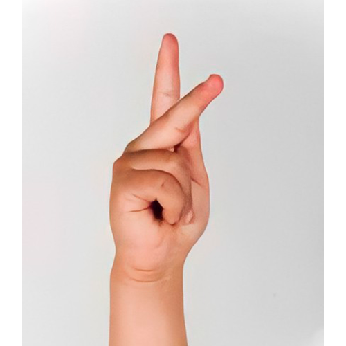 Con la mano cerrada y los dedos índice, medio
                y pulgar estirados, se pone la yema del pulgar
                entre el índice y el medio.