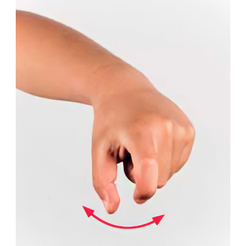Con la mano cerrada, se ponen los dedos
                      índice y pulgar en posición de garra. La palma
                      mira hacia abajo, y se mueve la muñeca hacia
                      los lados.