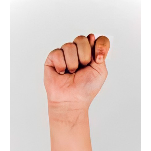 Con la mano cerrada, el pulgar se pone entre
                el índice y el medio. La palma mira al frente.
