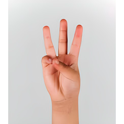 Con la mano cerrada, se estiran los dedos
                índice, medio y anular separados. La palma
                mira al frente.
