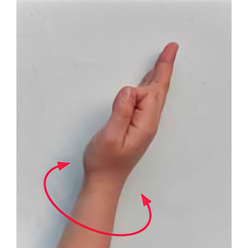 Se hace una letra f, y se rota la muñeca a los
                        lados.