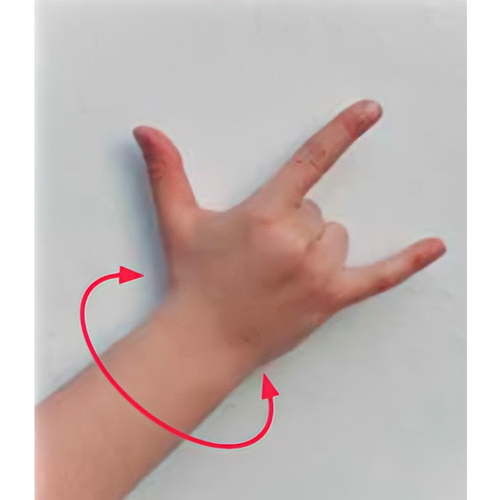 Se hace una letra i con el pulgar y el índice
                        estirados, y se rota la muñeca a los lados.