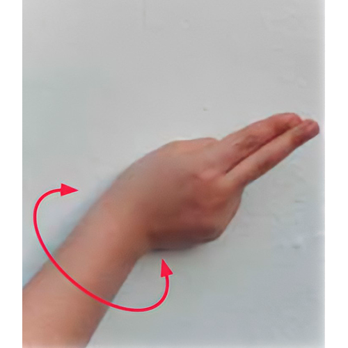 Se hace una letra u, y se rota la muñeca a los
                        lados.