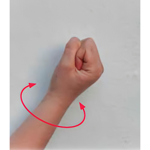 Se hace una letra s, y se rota la muñeca a los
                        lados.